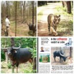 बाघ, तेंदुआ, वन भैंसा: गोपनीयता ऐसी कि विश्व की सर्वोच्च सुरक्षा एजेंसी भी शर्मसार हो जाए-वन मंत्री को लिखा पत्र
