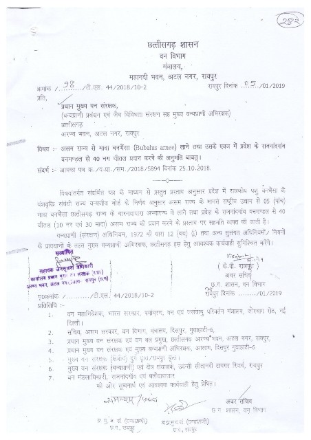 छत्तीसगढ़ के प्रधान मुख्य वन संरक्षक (वन्यप्राणी) बतायें…..सविधान की मर्यादा रखते हैं कि नहीं? अपने को छत्तीसगढ़ शासन से ऊपर क्यों मान रहे है? वन मंत्री को की शिकायत