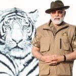मोदी ने बाघ का नया आंकड़ा जारी किया<br>टाईगर को स्टेंडिंग ओवेशन पीएम ने दिलाया