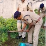 विश्व पर्यावरण दिवस पर  रेलवे सुरक्षा बल रायगढ़ ने बैरक में किया वृक्षारोपण