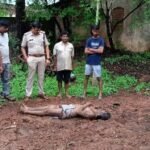 घरघोड़ा-रायगढ़ मुख्य मार्ग पर अमलीडीह मार्ग किनारे मिले शव की हुई शिनाख्त, जांच में जुटी घरघोड़ा पुलिस*