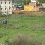 पुसौर तहसील में छोटे  झाड़ के जंगल की जमीन की खरीदी बिक्री का सनसनीखेज मामला सामने आया
