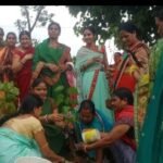 रामदास द्रौपदी फाउंडेशन ने किया किरोड़ीमल, कोसमपाली सहित कई स्थानों में पौधरोपण