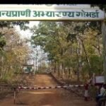 गोमर्डा अभ्यारण्य में 23 जंगली हाथियों का दल पहुंचा,पर्यटकों पर लगा प्रतिबंध,<br><br>विभाग द्वारा की जा रही लगातार निगरानी