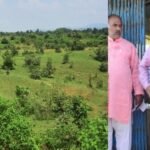 *जोगीपुर में तेजी से विकसित हो रहा गो अभ्यारण्य*