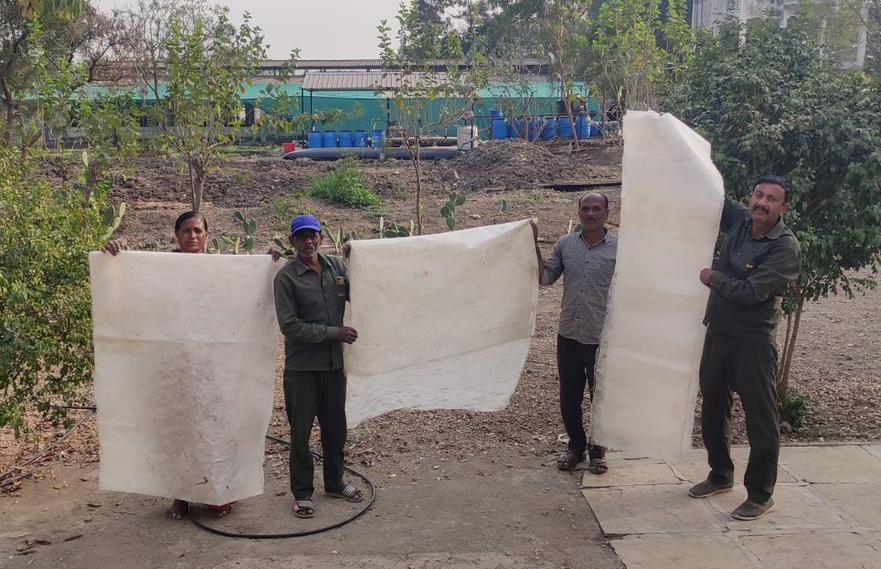 कोल इंडिया के सीएसआर सहयोग से आईआईटी बॉम्बे की पायलट परियोजना ‘जीवोदया’ को रेशम उत्पादन में बड़ी सफलता