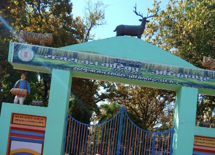 अंबिकापुर में 15 हिरणों की मौत: सिंघवी ने पूछा और कितने अवैध जू चल रहे हैं छत्तीसगढ़ में?