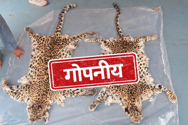 वन्यजीवों की मौत की जानकारी वन विभाग के दस्तावेज में विधानसभा को अलग और आरटीआई में अलग किसको गुमराह कर रहे हैं ?