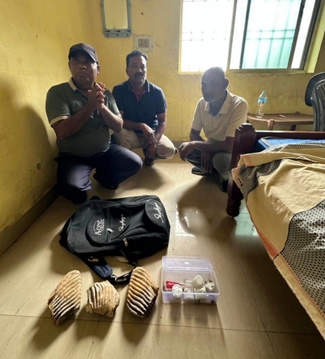 बलरामपुर-रामानुजगंज जिले में हाथीदांत तस्करी के मामले में तीन आरोपियों को गिरफ्तार कर न्यायिक हिरासत में भेजा